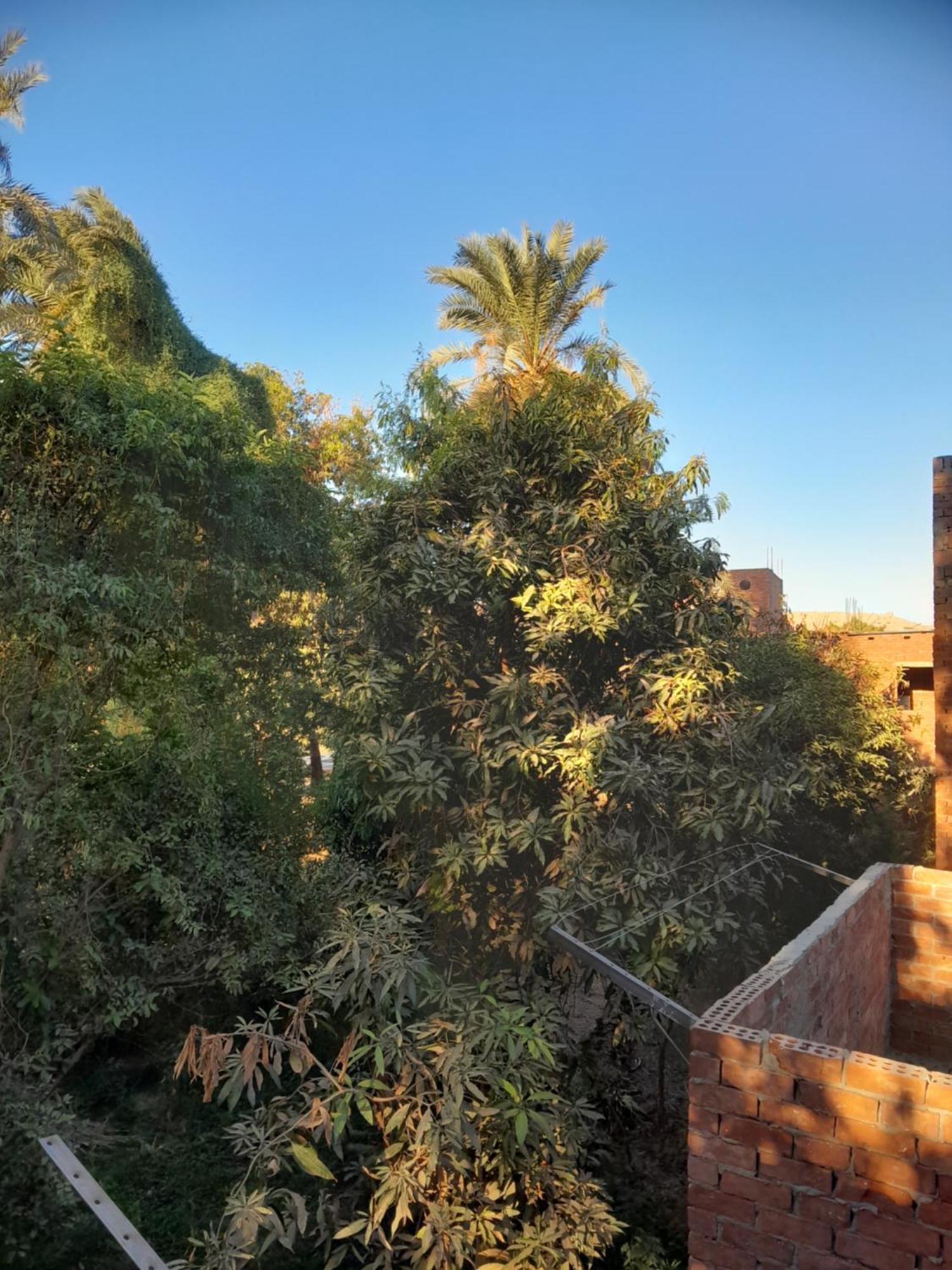 Kashta Nubian Guest Houst Hostel Aswan Buitenkant foto